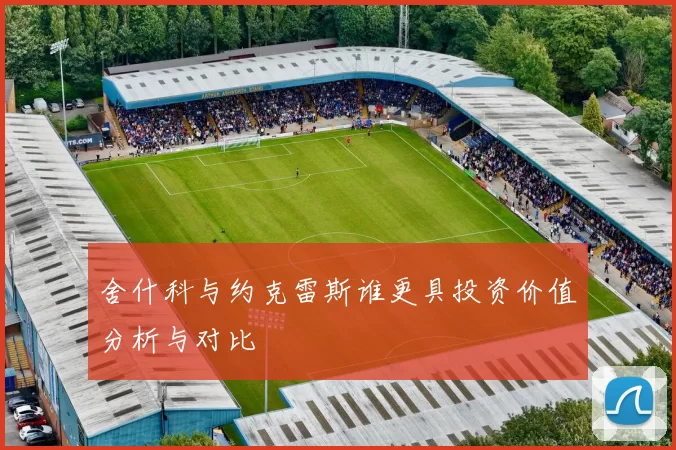 舍什科与约克雷斯谁更具投资价值分析与对比