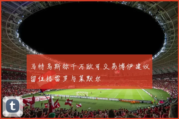 马特乌斯称千万欧可交易博伊建议留住格雷罗与莱默尔